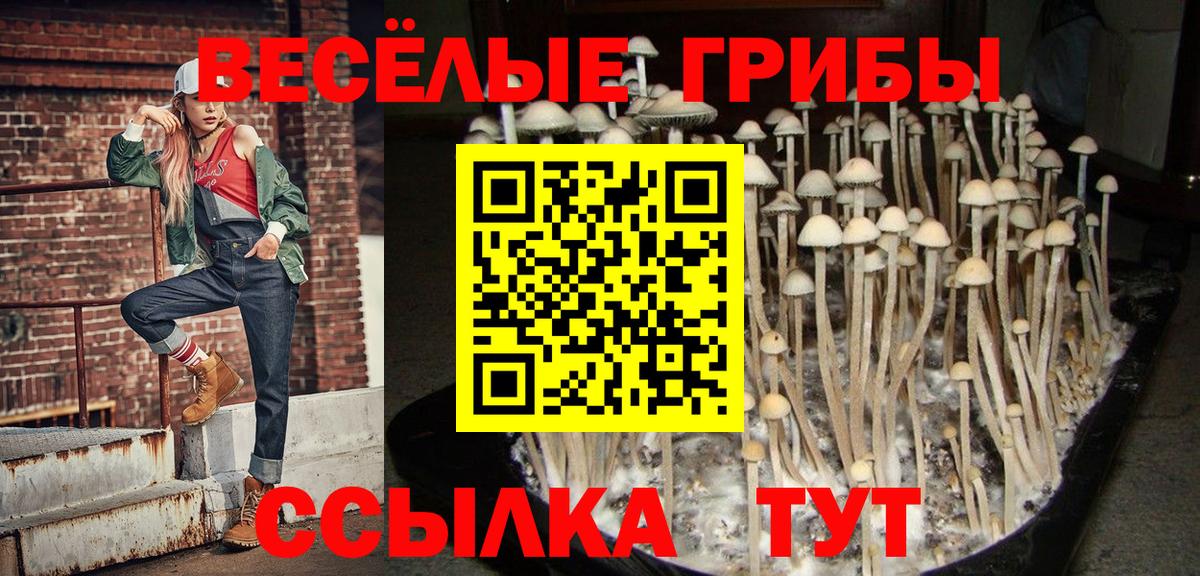 Псилоцибиновые грибы Cubensis  Вход с VPN  Галлюциногенные грибы MAGIC MUSHROOMS  Звенигород 