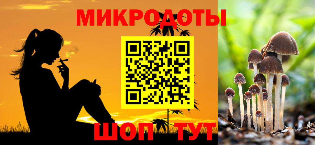 Псилоцибиновые грибы Cubensis Звенигород